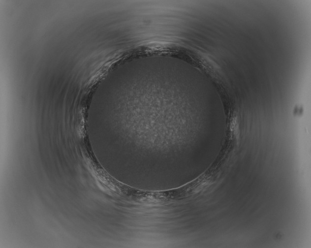 X0000113280868200909211037