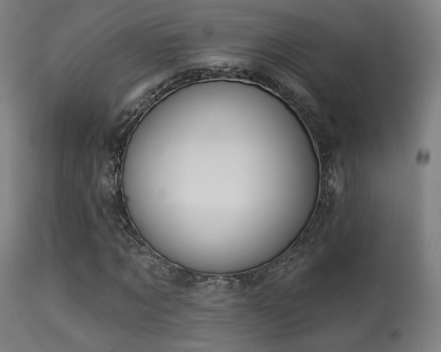 X0000113280869200909211037