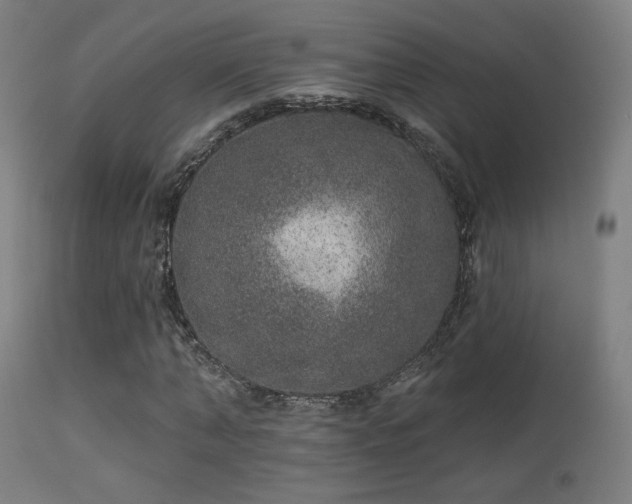 X0000113280870200909211037