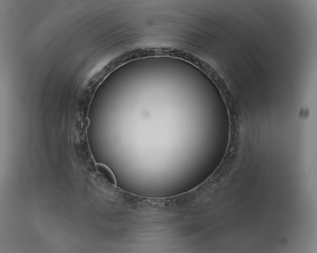 X0000113280871200909211037