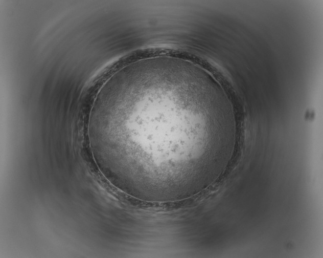 X0000113280872200909211037