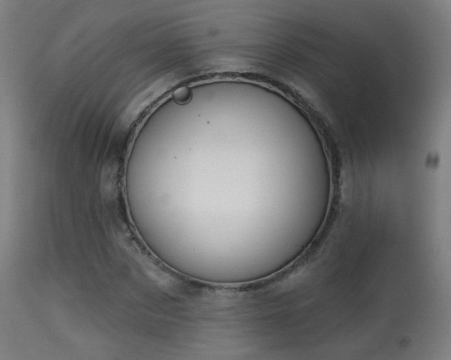 X0000113280873200909211037