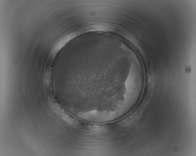 X0000113280874200909211037