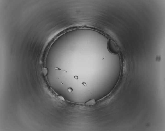 X0000113280876200909211037