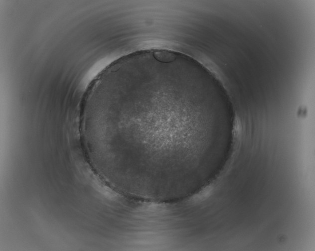 X0000113280877200909211037