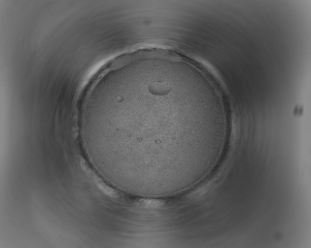 X0000113280878200909211037