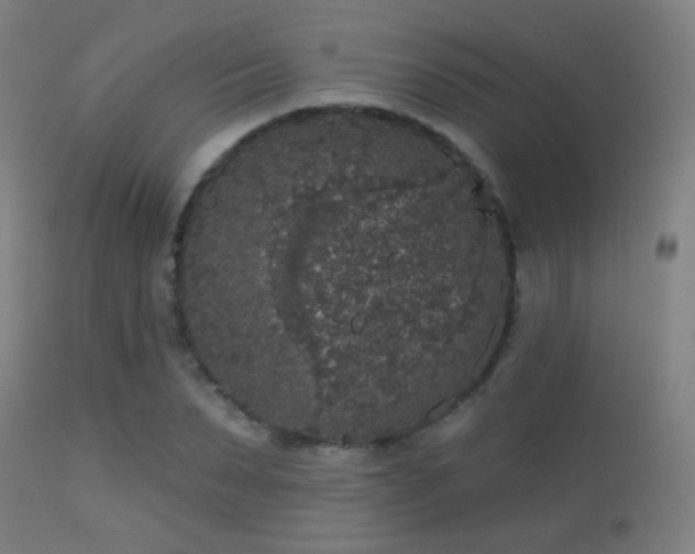 X0000113280879200909211037