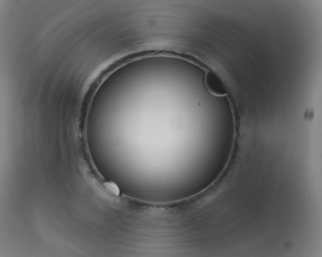 X0000113280880200909211037