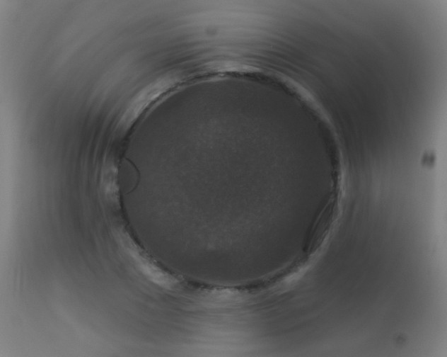 X0000113280881200909211037