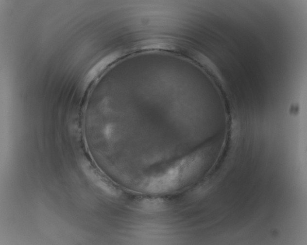 X0000113280882200909211037