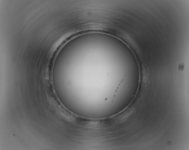 X0000113280883200909211037