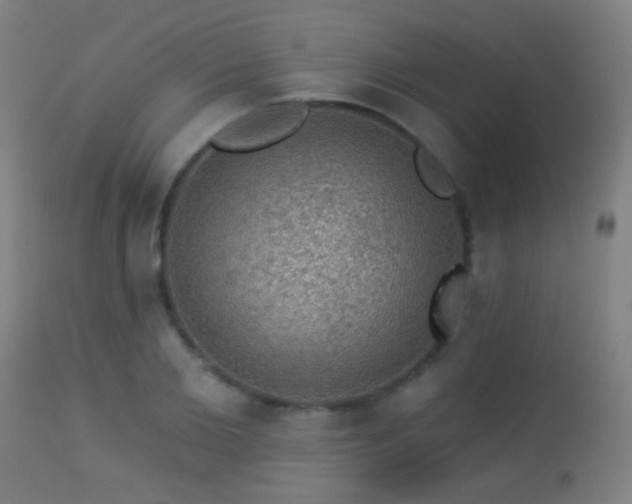 X0000113280885200909211037