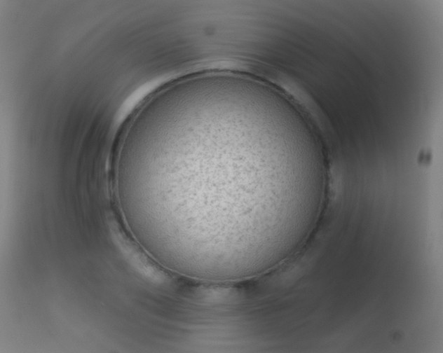 X0000113280886200909211037