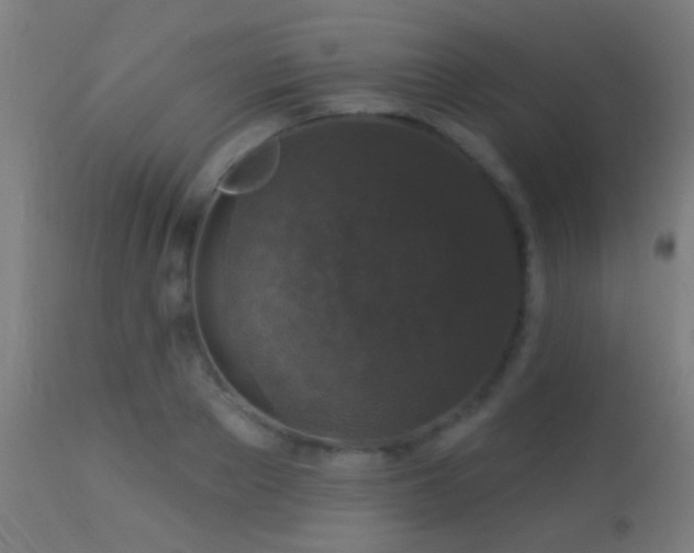 X0000113280889200909211037