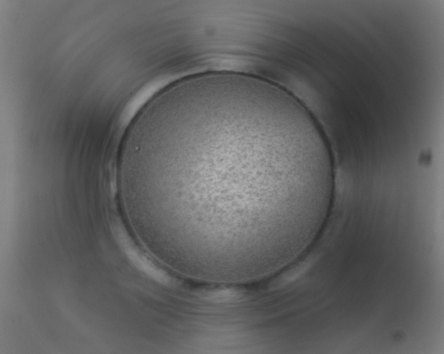 X0000113280891200909211037