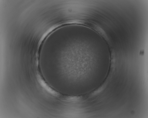 X0000113280892200909211037