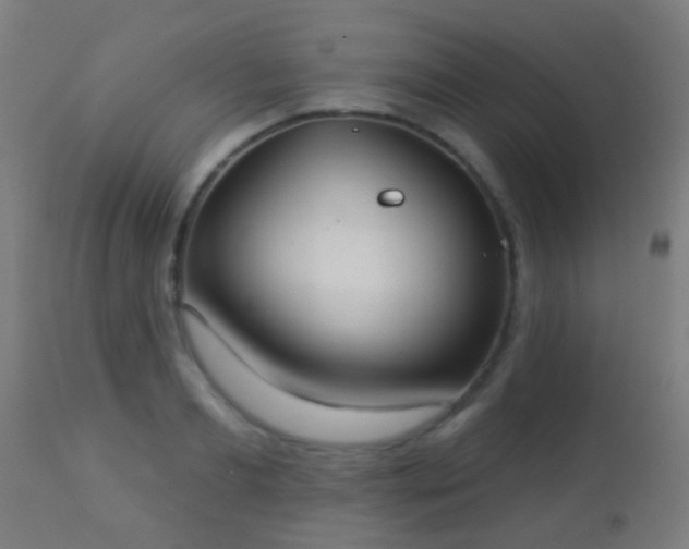 X0000113280893200909211037