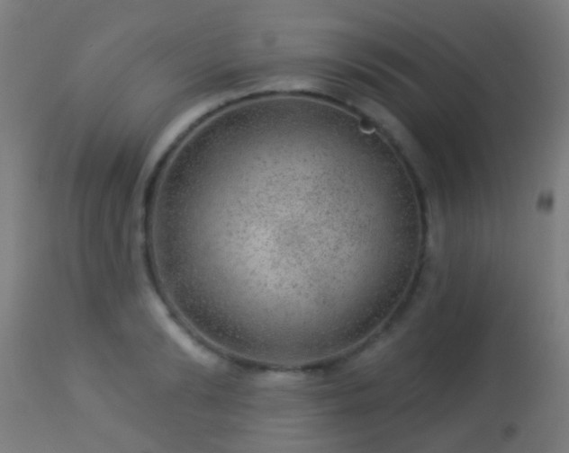 X0000113280894200909211037