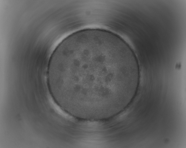 X0000113280895200909211037