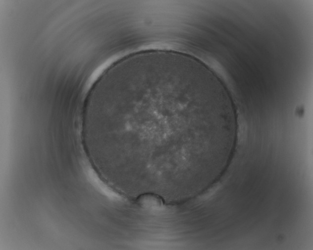 X0000113280896200909211037