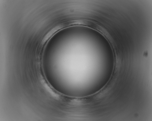 X0000113280898200909211037