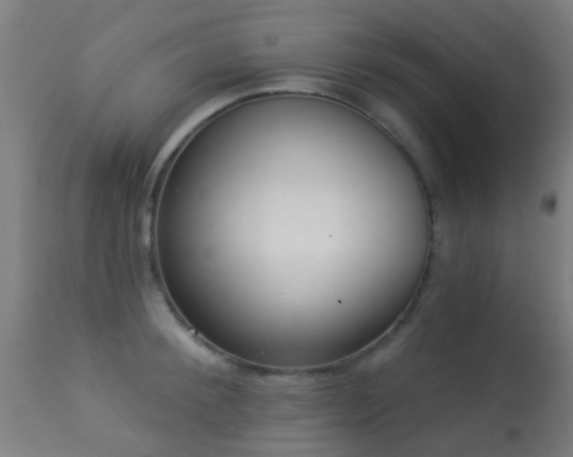 X0000113280900200909211036