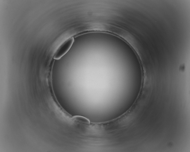 X0000113280901200909211036