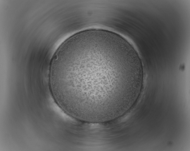 X0000113280903200909211036