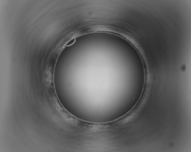 X0000113280905200909211036