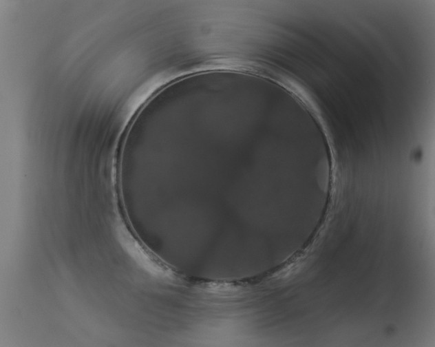 X0000113280907200909211036