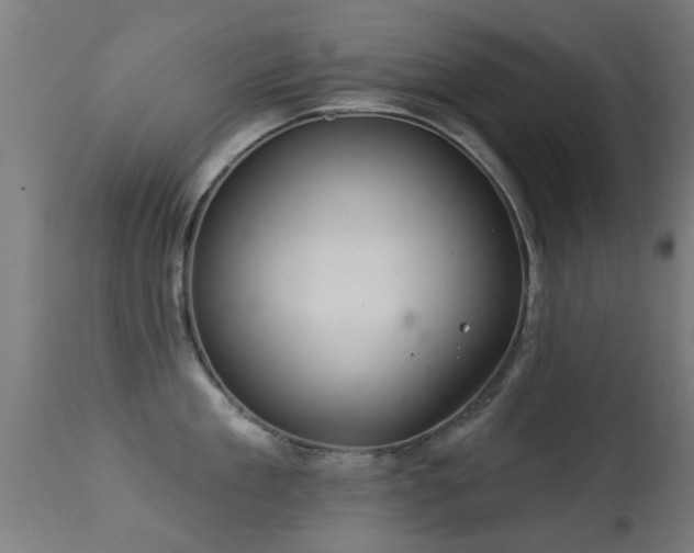 X0000113280909200909211036