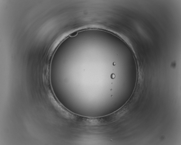 X0000113280911200909211036