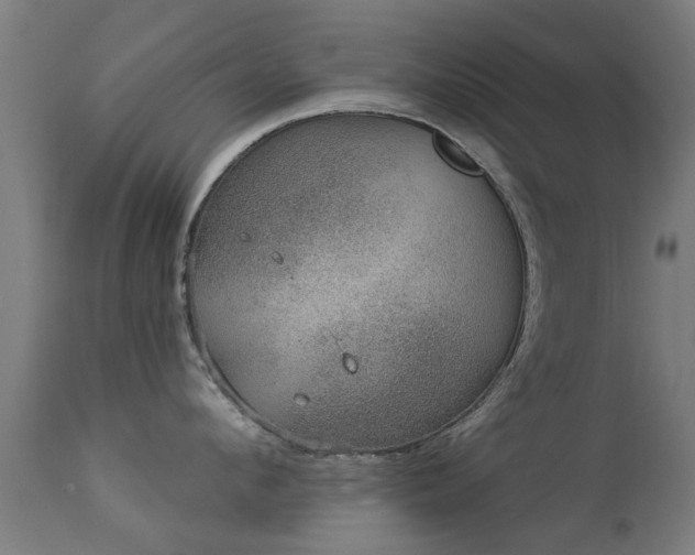 X0000113280912200909211036