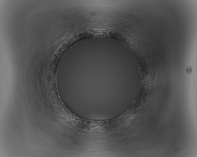 X0000113280913200909211035