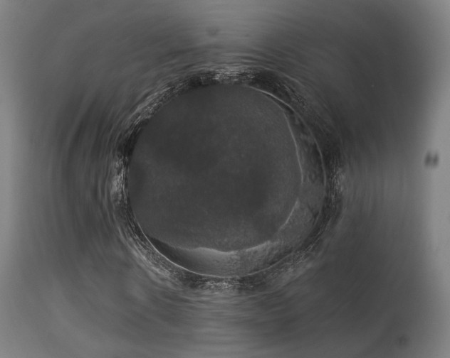 X0000113280914200909211036