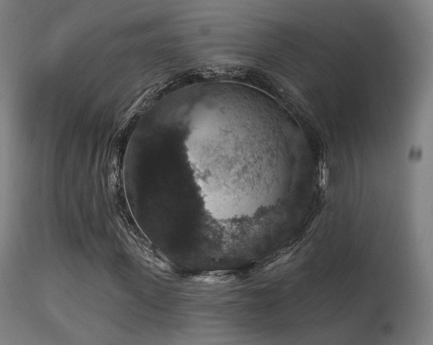 X0000113280915200909211036