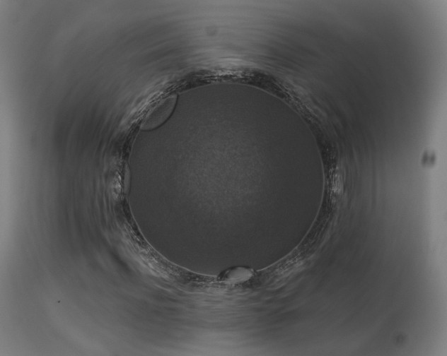 X0000113280916200909211036