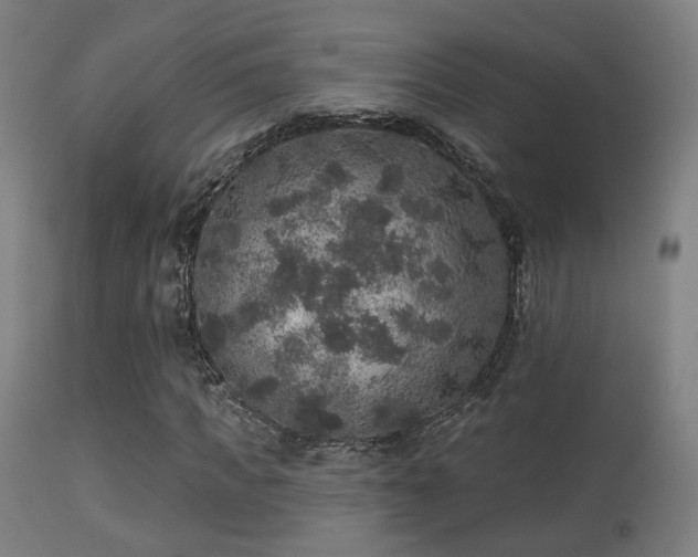 X0000113280917200909211036