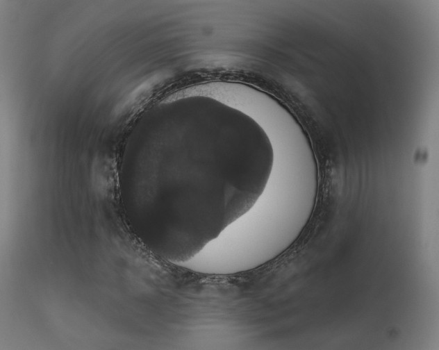 X0000113280918200909211036