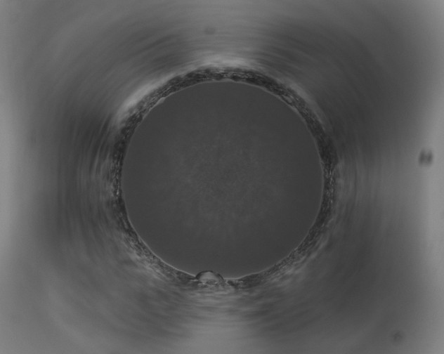 X0000113280919200909211036