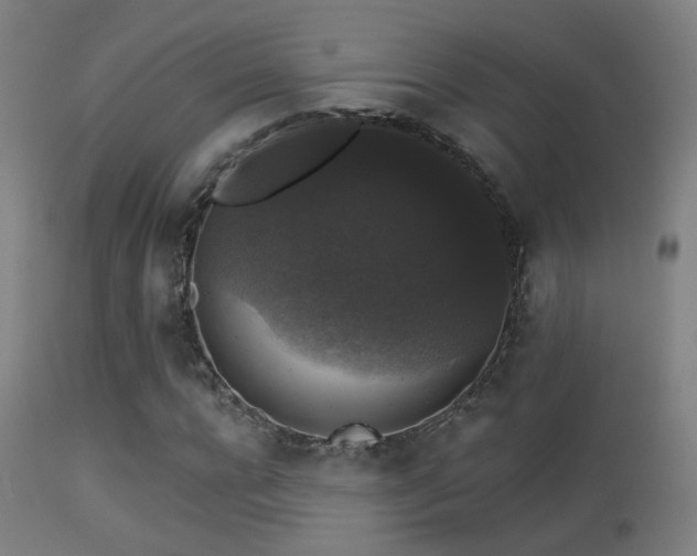 X0000113280920200909211036