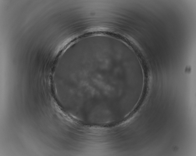 X0000113280921200909211036