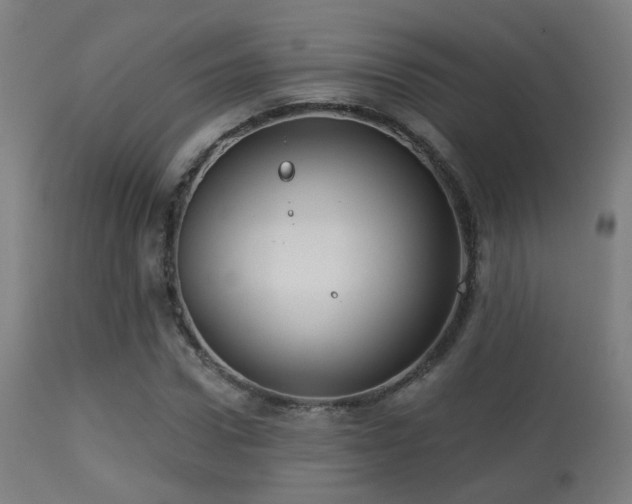 X0000113280922200909211036