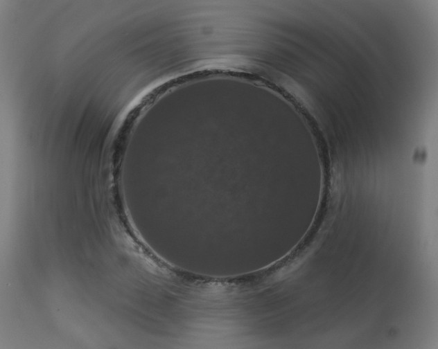 X0000113280923200909211036