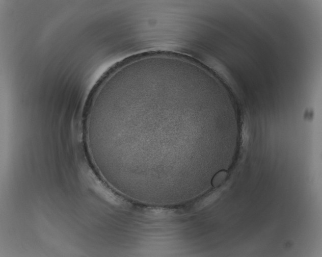 X0000113280924200909211036