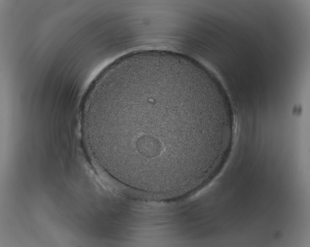 X0000113280925200909211036