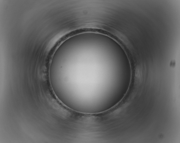 X0000113280926200909211036