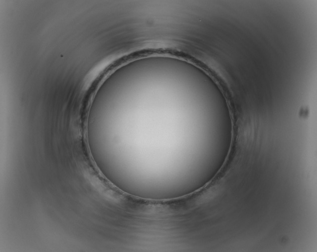 X0000113280927200909211036