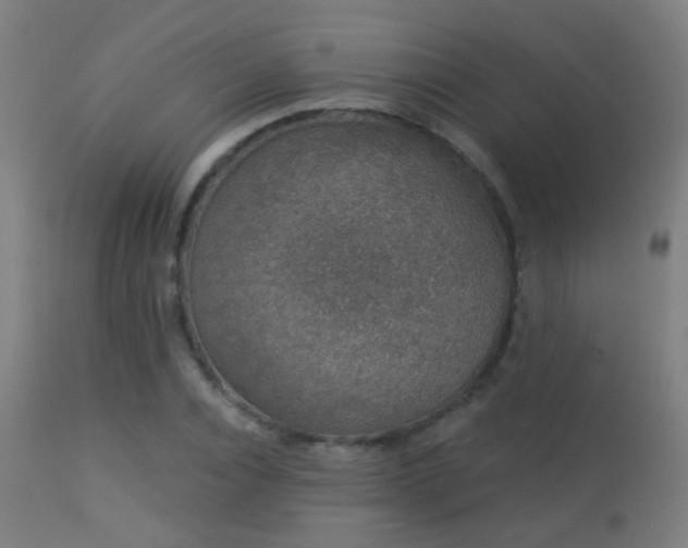 X0000113280928200909211036