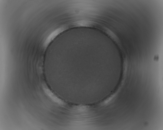 X0000113280930200909211036